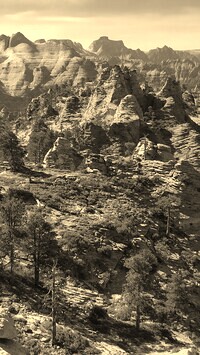 Szary + Sepia