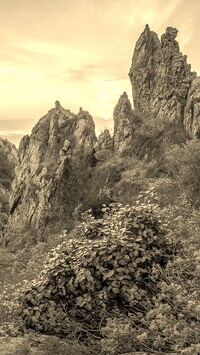 Sepia
