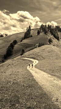Szary + Sepia