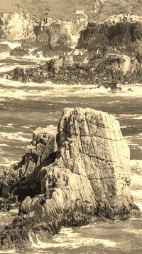 Szary + Sepia
