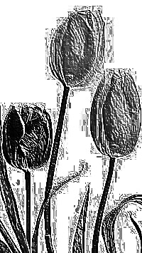 Skamielina