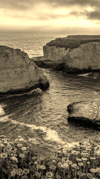 Sepia