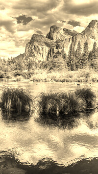 Szary + Sepia