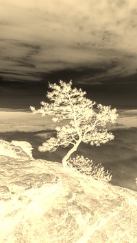 Sepia + Negatyw