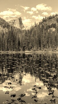 Sepia