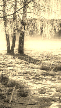 Szary + Sepia