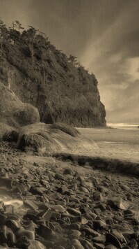 Sepia