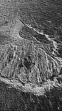 Skamielina