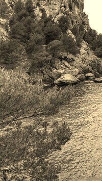 Sepia