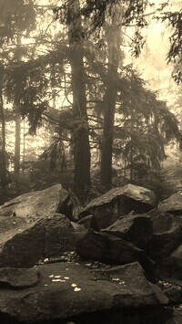 Szary + Sepia