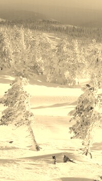 Szary + Sepia
