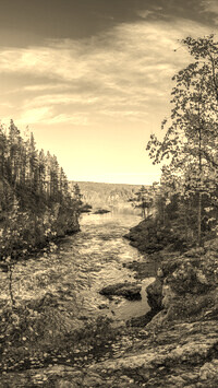 Sepia
