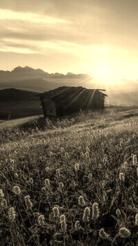 Sepia