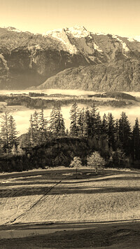 Szary + Sepia