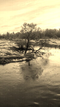 Sepia