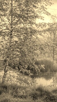 Szary + Sepia