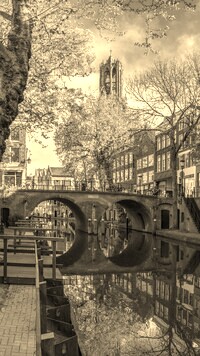 Szary + Sepia