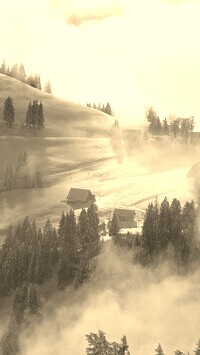 Szary + Sepia
