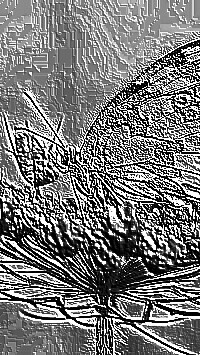 Skamielina