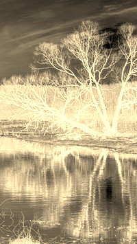 Sepia + Negatyw