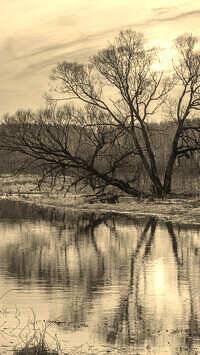 Szary + Sepia