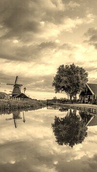 Szary + Sepia