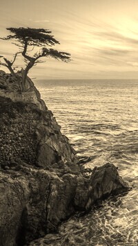Szary + Sepia
