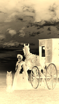 Sepia + Negatyw
