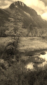 Szary + Sepia