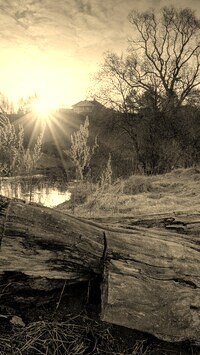 Szary + Sepia