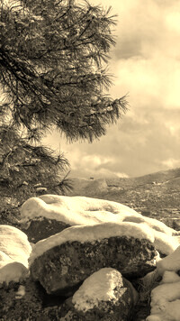Sepia