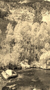 Sepia