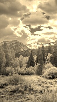 Szary + Sepia