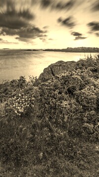 Szary + Sepia