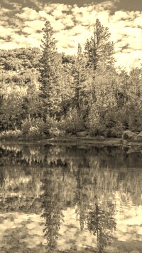 Sepia