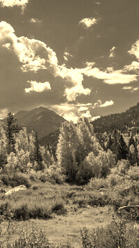 Sepia