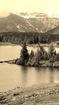 Szary + Sepia
