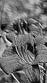 Skamielina