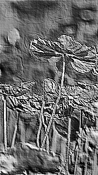 Skamielina
