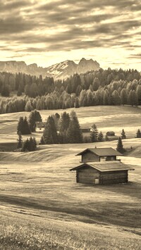Szary + Sepia