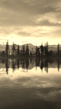 Szary + Sepia