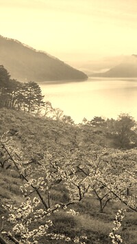 Szary + Sepia