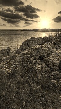 Szary + Sepia
