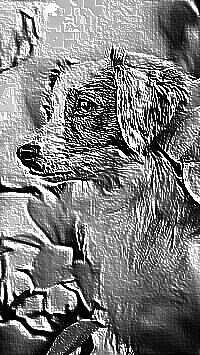 Skamielina