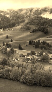 Szary + Sepia