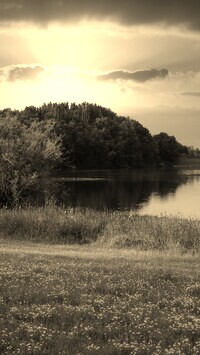 Szary + Sepia