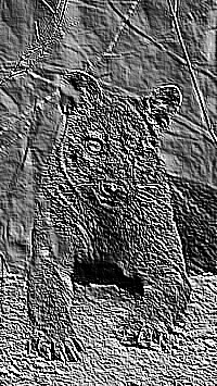 Skamielina