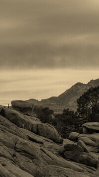 Szary + Sepia