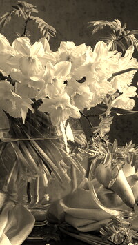 Szary + Sepia