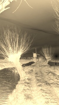 Sepia + Negatyw